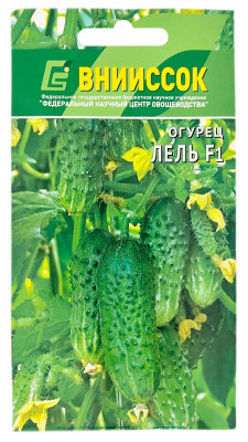 Огурец Лель F1 ВНИИССОК