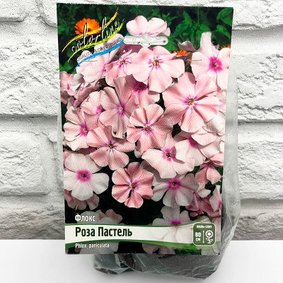 Флокс РОЗА ПАСТЕЛЬ