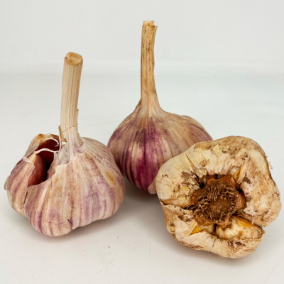 Чеснок головка Кировский (калибр 4-6) 3шт