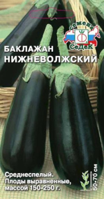 Баклажан Нижневолжский Баклажан Нижневолжский