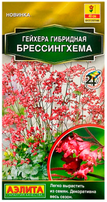 Гейхера гибридная брессингхема АЭЛИТА