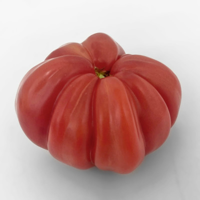 Томат Весёлый сосед ГАВРИШ (2)