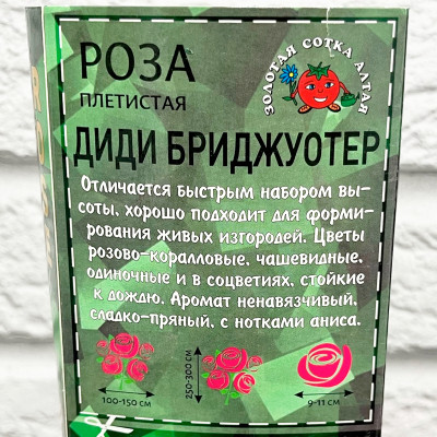 Роза плетистая ДИДИ БРИДЖУОТЕР описание