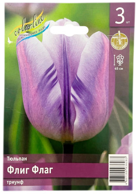 Тюльпан ФЛИГ ФЛАГ триумф