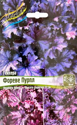 Гейхера Фореве Пурпл (1шт)