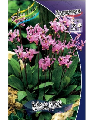 Додекатион Меадиа (в упаковке 3шт) цена за 3шт