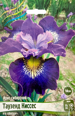 Ирис Таузенд Киссес (1шт)