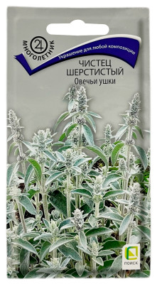 Чистец стахис шерстистый ОВЕЧЬИ УШКИ ПОИСК