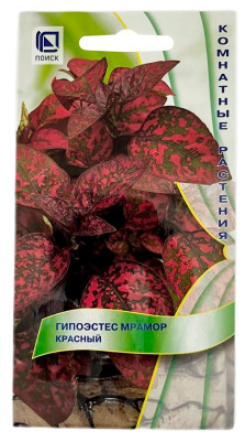 Гипоэстес МРАМОР КРАСНЫЙ ПОИСК