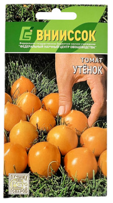 Томат УТЁНОК ВНИИССОК Томат УТЁНОК ВНИИССОК