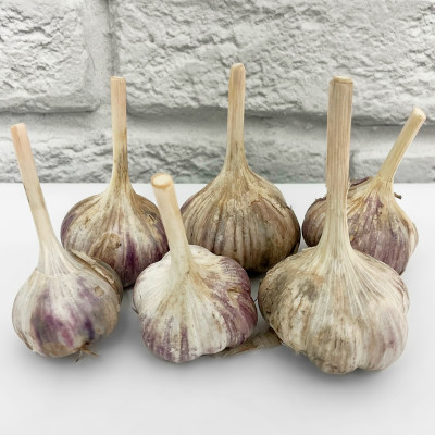 Чеснок Любовь