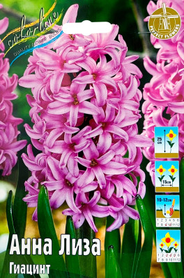 Гиацинт Анна Лиза