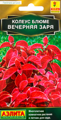 Колеус Вечерняя заря блюме 5шт