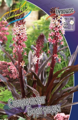 Эукомис Спарклинг Бургунди (1шт) R-010 Эукомис Спарклинг Бургунди (1шт) R-010