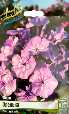 Флокс Оленька (2шт)