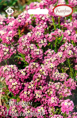 Алиссум Мускат фиолетовый 0,2г