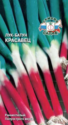 Лук батун Красавец (красный) Лук батун Красавец (красный)