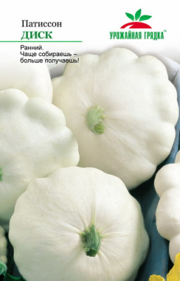 Патиссон Диск УГ