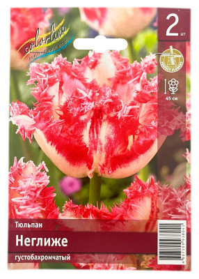 Тюльпан густобахромчатый НЕГЛИЖЕ