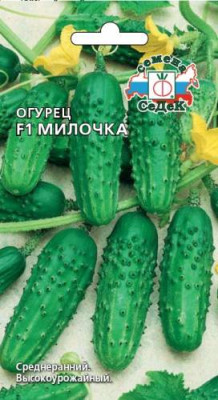огурец Милочка F1