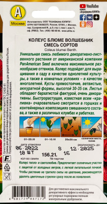 Колеус Волшебник смесь блюме 10шт