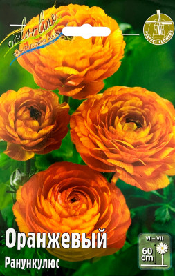 Ранункулюс Оранжевый (10)