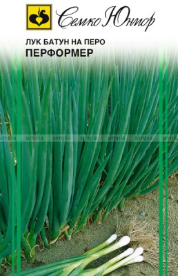 Лук батун на перо Перформер