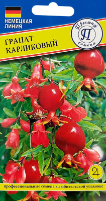 Гранат карликовый 5шт