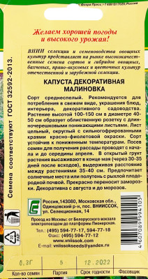 Капуста декоративная Кале Малиновка