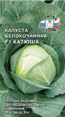 капуста Катюша F1 (Б/К) капуста Катюша F1 (Б/К)