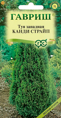 Туя западная Канди Страйп ГАВРИШ