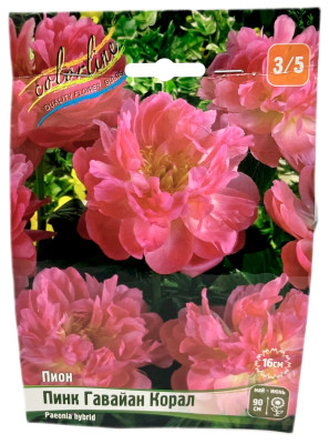 Пион Пинк Гавайан Корал