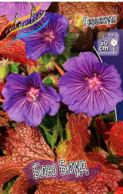 Гераниум Блю Блуд (1шт) 348