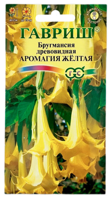 Бругмансия древовидная ангельские трубы АРОМАГИЯ ЖЁЛТАЯ ГАВРИШ