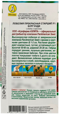Лобелия прекрасная старшип БУРГУНДИ АЭЛИТА описание