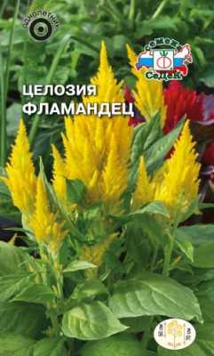 Целозия Фламандец (перистая, золотисто-желтая)