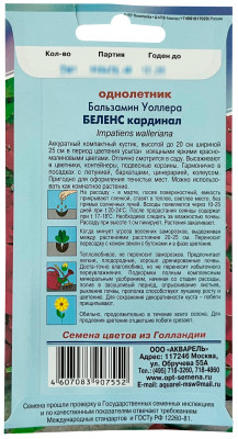 Бальзамин Беленс кардинал