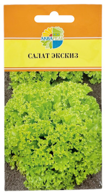 Салат ЭКСКИЗ АКВАРЕЛЬ