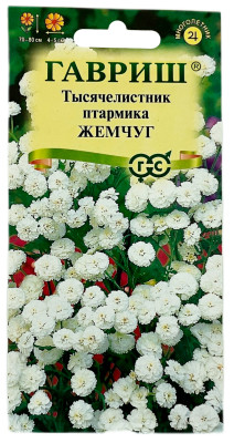 Тысячилистник птармика ЖЕМЧУГ ГАВРИШ