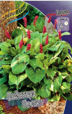 Горец Пейнтерс Палетт (1шт) 3226