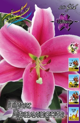 Лилия Пинк Бриллиант (1шт)