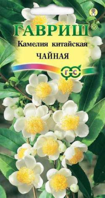Камелия китайская Чайная 3 шт. Н10 Камелия китайская Чайная 3 шт. Н10
