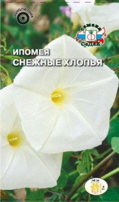 Ипомея Снежные Хлопья (вид шиповатая, белая) (Евро)