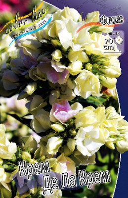 Флокс Крем Де Ла (2шт)