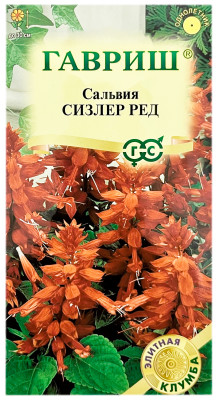 Сальвия СИЗЛЕР РЕД ГАВРИШ