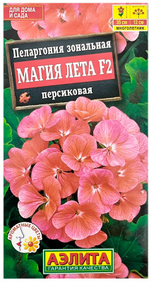 Пеларгония зональная МАГИЯ ЛЕТА F2 ПЕРСИКОВАЯ АЭЛИТА