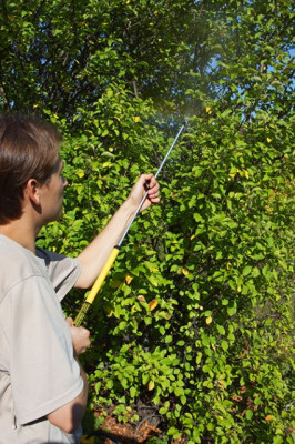 Опрыскиватель Туман ОГ-307-М2 модифицированный