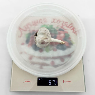 Чеснок Добрыня озимый (3)