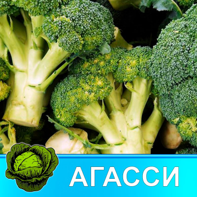 Рассада Капусты микс