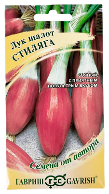 Лук шалот СТИЛЯГА ГАВРИШ